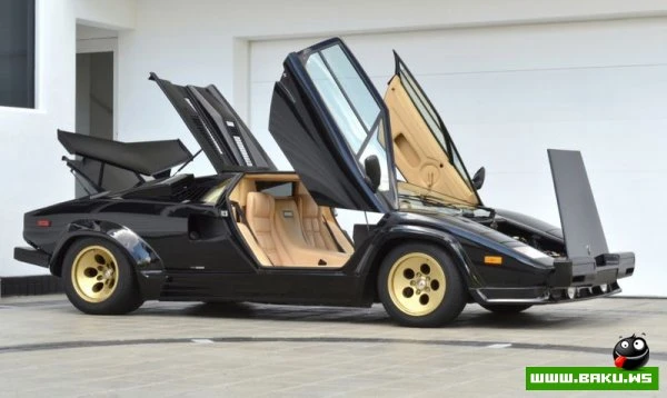 Lamborghini Countach на аукционе (63 фото)