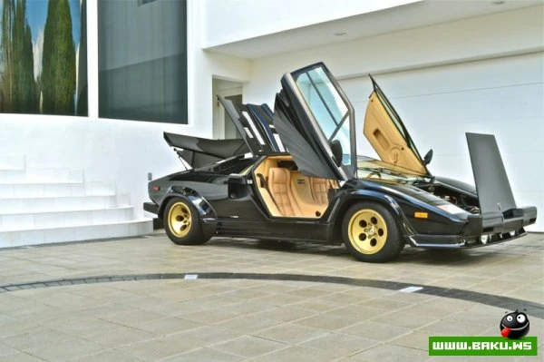 Lamborghini Countach на аукционе (63 фото)