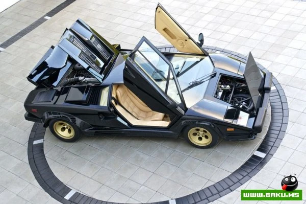 Lamborghini Countach на аукционе (63 фото)