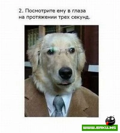 Интересный фокус (3 фото)