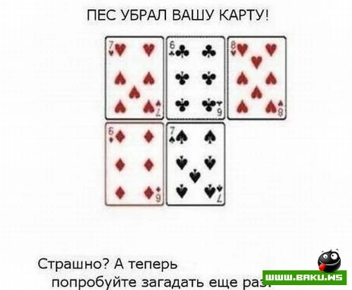 Интересный фокус (3 фото)