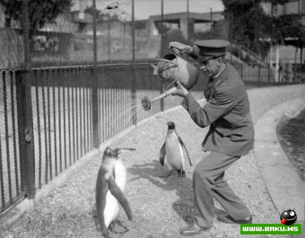 Отличная подборка прикольных фотографий