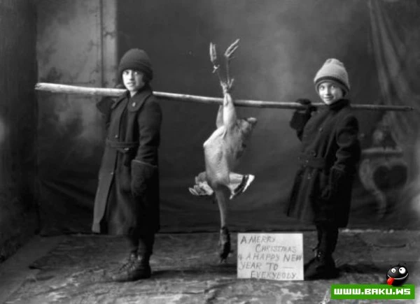 Отличная подборка прикольных фотографий