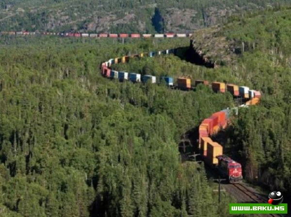 Отличная подборка прикольных фотографий