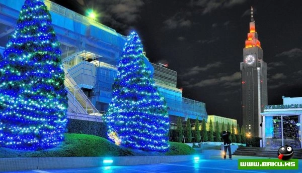 Новогодние елки Мира (28 фото)