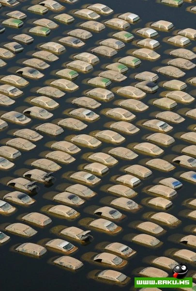Honda уничтожит более 1000 машин (23 фото)