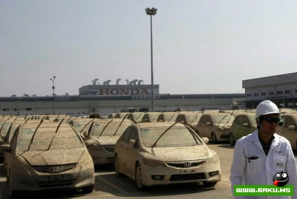 Honda уничтожит более 1000 машин (23 фото)