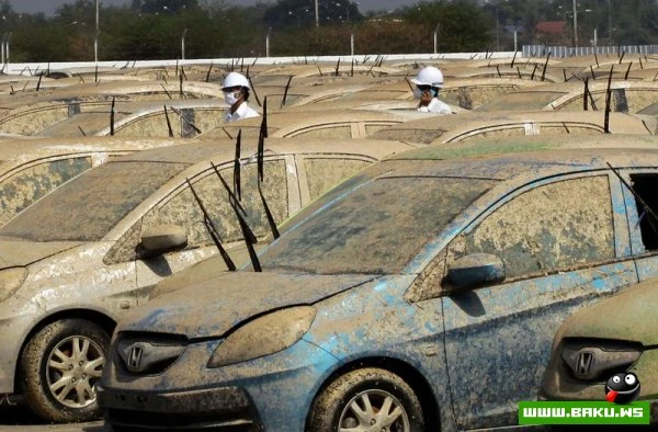 Honda уничтожит более 1000 машин (23 фото)