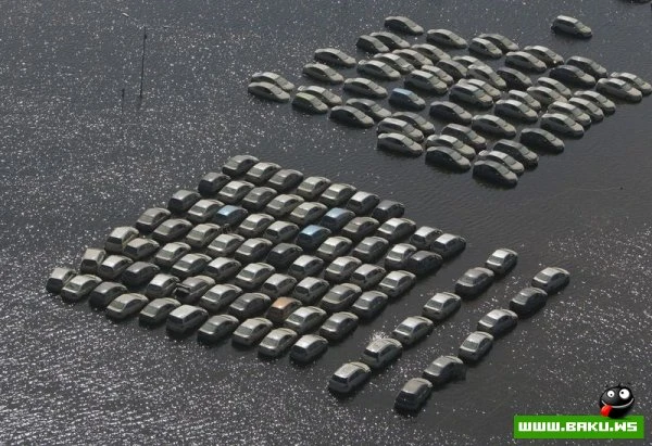 Honda уничтожит более 1000 машин (23 фото)