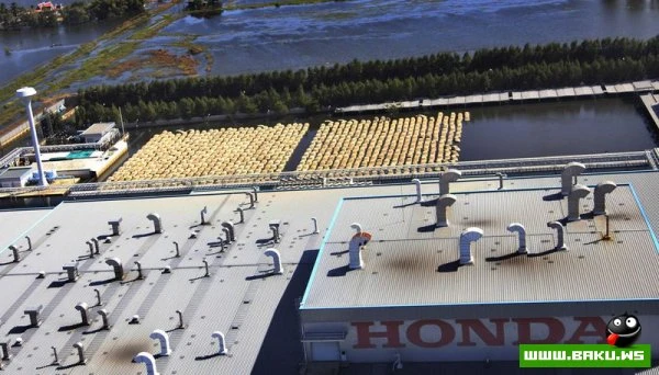 Honda уничтожит более 1000 машин (23 фото)