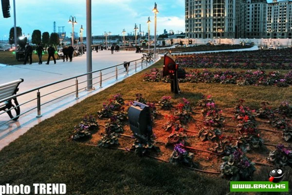 Парк у метро 