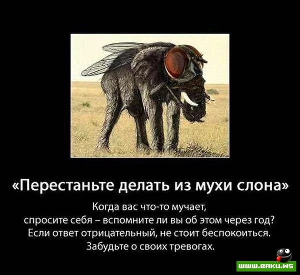 Полезные советы (10 картинок)
