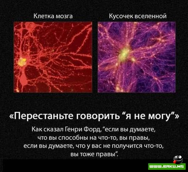 Полезные советы (10 картинок)