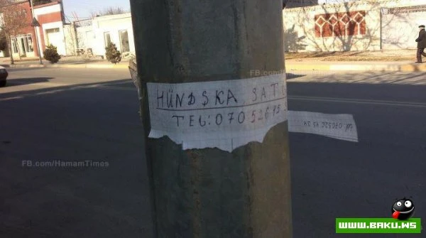 Milli Yumor - 58 FOTO