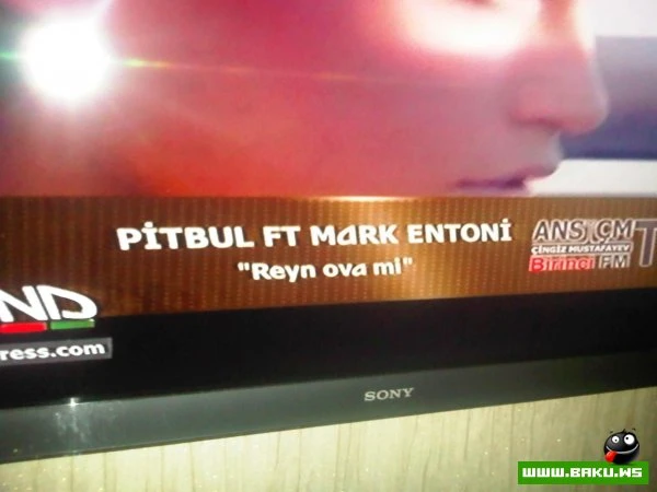 Milli ANS =) (26 FOTO)