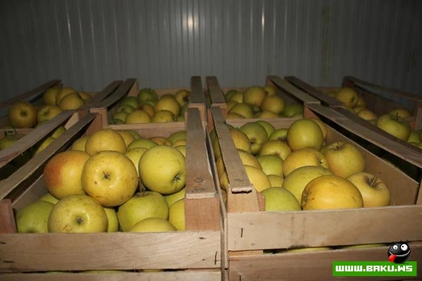 Bir qrup jurnalist “Gilan Holding”in Qəbələ Limonad və Konserv zavodlarında olub [60 FOTO]