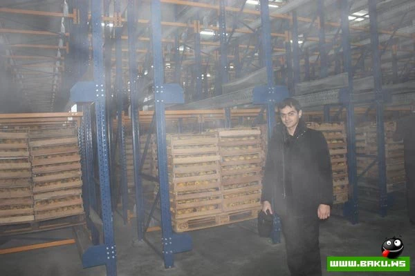Bir qrup jurnalist “Gilan Holding”in Qəbələ Limonad və Konserv zavodlarında olub [60 FOTO]