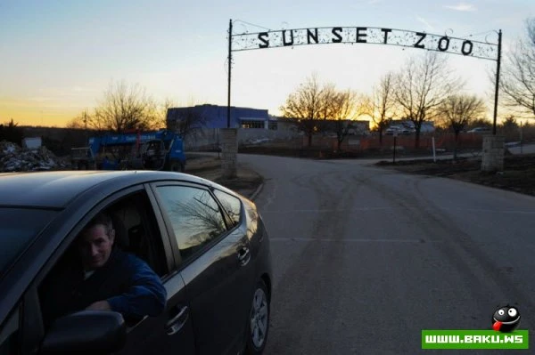Процесс создания фотографий животных от National Geographic (36 фото)