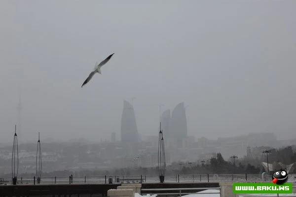 Exclusive! Снежный Баку - 08.02.2012 [44 фото+ видео]