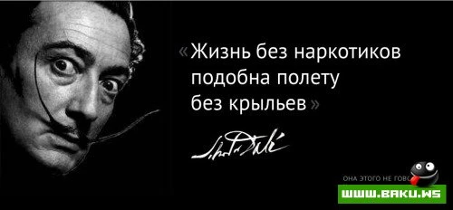 Они этого не говорили