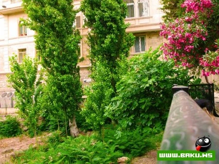 Ичери Шехер
