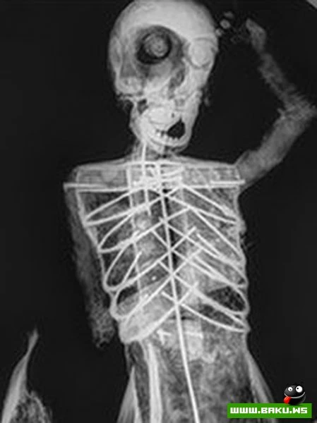 Ученые исследуют мумию русалки [3 фото]