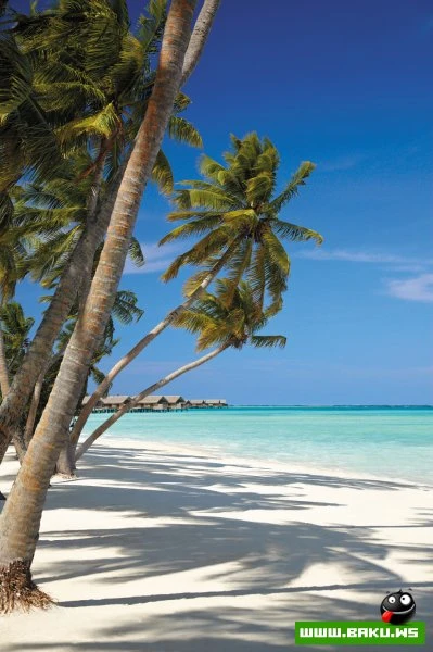 Добро пожаловать в рай... Villingili Resort & Spa