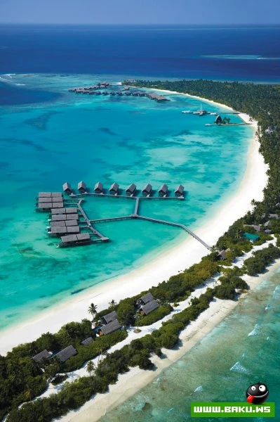 Добро пожаловать в рай... Villingili Resort & Spa