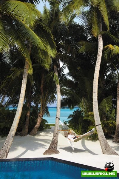 Добро пожаловать в рай... Villingili Resort & Spa
