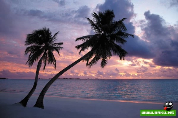 Добро пожаловать в рай... Villingili Resort & Spa