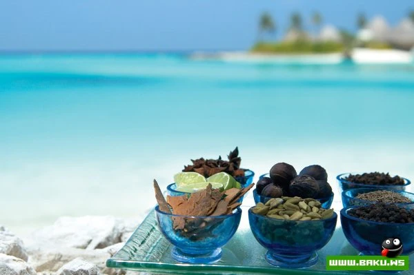 Отели Four Seasons на Мальдивах [23 фото]