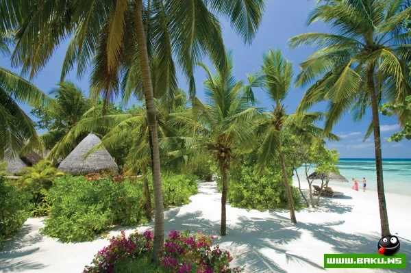Отели Four Seasons на Мальдивах [23 фото]