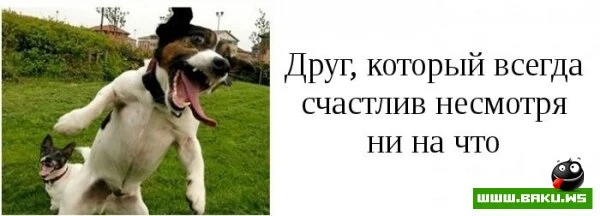Типы друзей, которые есть у каждого [15 фото]