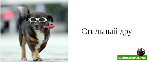 Типы друзей, которые есть у каждого [15 фото]