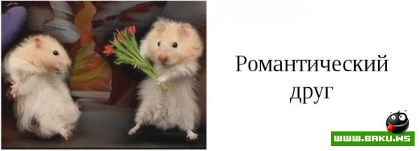 Типы друзей, которые есть у каждого [15 фото]