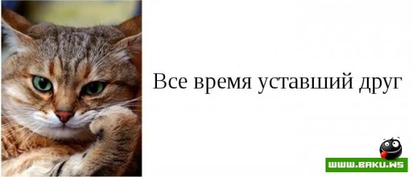 Типы друзей, которые есть у каждого [15 фото]