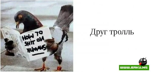 Типы друзей, которые есть у каждого [15 фото]