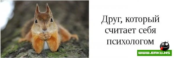 Типы друзей, которые есть у каждого [15 фото]