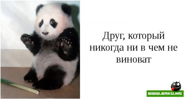 Типы друзей, которые есть у каждого [15 фото]