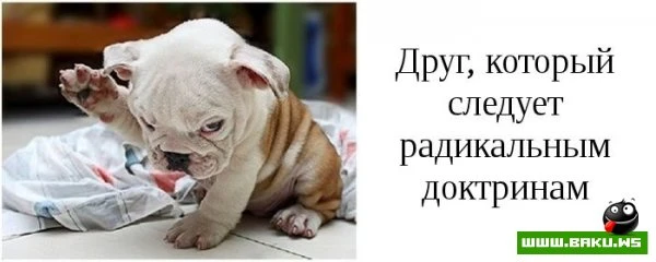 Типы друзей, которые есть у каждого [15 фото]