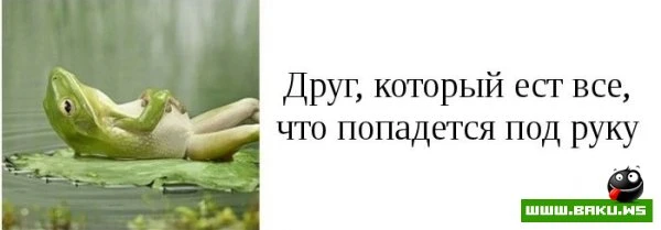 Типы друзей, которые есть у каждого [15 фото]