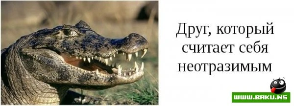 Типы друзей, которые есть у каждого [15 фото]