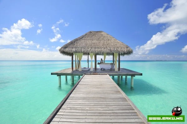 Kuramathi Island Resort на Мальдивах [31 фото]