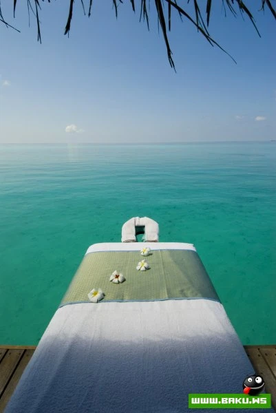 Kuramathi Island Resort на Мальдивах [31 фото]