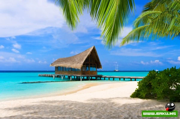 Kuramathi Island Resort на Мальдивах [31 фото]
