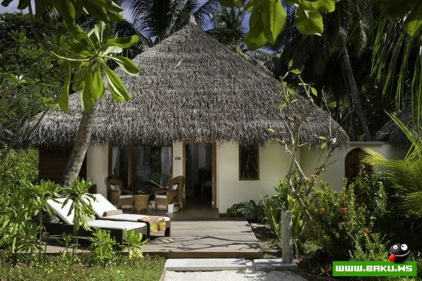 Kuramathi Island Resort на Мальдивах [31 фото]