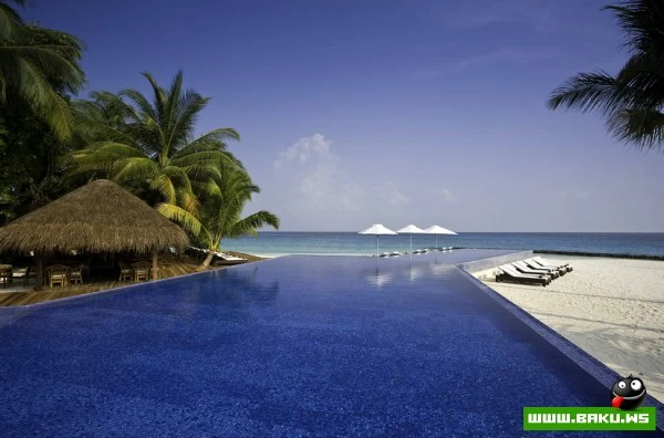Kuramathi Island Resort на Мальдивах [31 фото]
