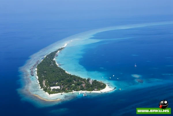 Kuramathi Island Resort на Мальдивах [31 фото]