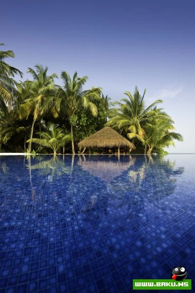 Kuramathi Island Resort на Мальдивах [31 фото]