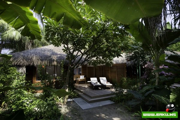 Kuramathi Island Resort на Мальдивах [31 фото]